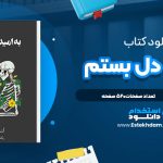 دانلود پی دی اف کتاب به امید دل بستم لنکالی