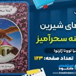 دانلود کتاب آینه سحرآمیز ایرنیا لوونا ژلزنوا