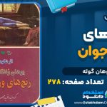 رنج-هاي-ورتر-جوان