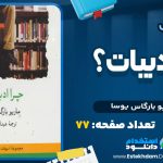 دانلود پی دی اف کتاب چرا ادبیات ماریو بارگاس یوسا